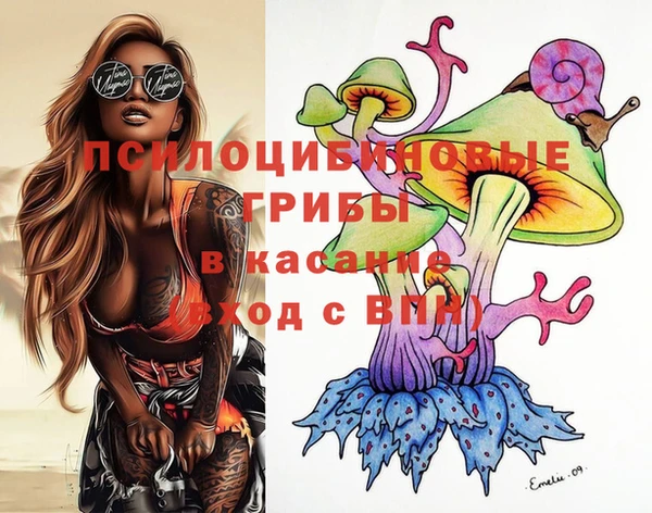 стафф Белокуриха