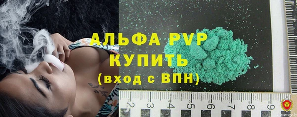 сатива Осташков
