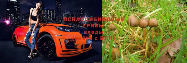 марки lsd Балабаново