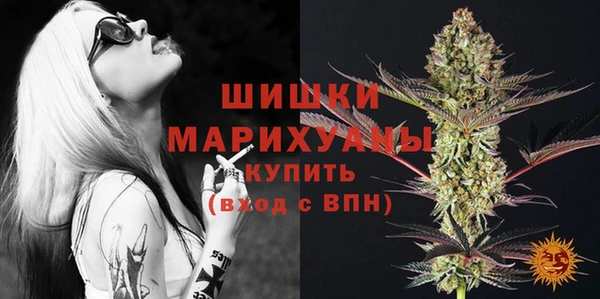 сатива Осташков