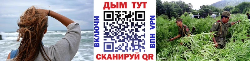 купить наркоту  блэк спрут ТОР  МАРИХУАНА LSD WEED  Покровск 